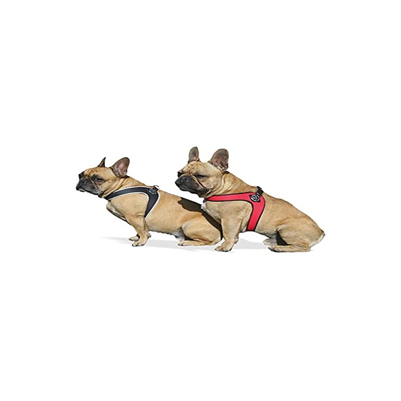 Tre Ponti Fibbia Small Dog Harness, 2 cm, Red