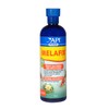 API Pond Melafix Pond Fish Bacterial Infection Remedy Bottle, White,