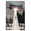 I Want to Believe UFO Rick & Morty Stranger Things