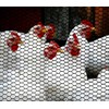 Boen Plastic Hex Chicken Wire Mesh Temporary Fence Roll (4'