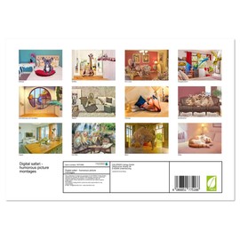 Digital safari - humorous picture montages (Monthly Wall Calendar 2025 16.5" x 23.4" (open)), CALVENDO 14 Month Calendar