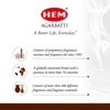 HEM Sandalwood Backflow Incense Cones – Pack of 40 Brown