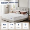 Vesgantti 10 Inch Multilayer Hybrid Twin Mattress - Multiple Sizes