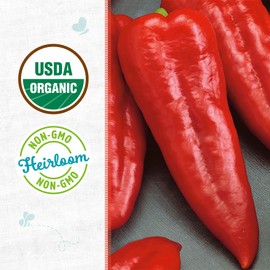 Back to The Roots 100% Organic Seed Packet - Pepper 'Sweet Red Marconi' 140mg
