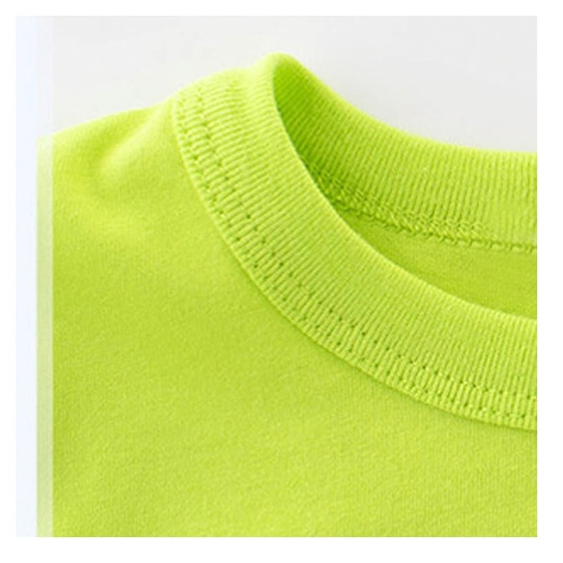 SUPFANS Camisetas y pantalones cortos de dinosaurio para bebés y
