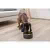 Kerbl Pet Golden Stainless Steel Bowl for Dogs and Cats,