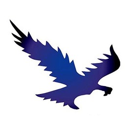 Stencil for Shimmer Tattoo Fengda 19-09