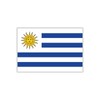 Womaha 30 Temporary Uruguay Flag Tattoos Fans Face Tattoo Stickers