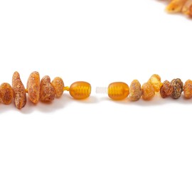 Amber Collar for Dogs and Cats - 100% Natural Baltic Amber Beads - 20 cm