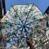 XiranYien Butterfly Clear Umbrella Women Elegant Unique Automatic Open Close