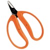 Closest Positive (chikamasa) Tangerines Scissor, Large, Straight Blade Medium – 100
