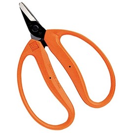 Closest Positive (chikamasa) Tangerines Scissor, Large, Straight Blade Medium – 100