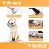 Soft Dog Cone Collar, 2 PCS (for Exact Size) Flexible