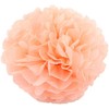 Pack of 10 Tissue Paper Flower Ball Pom pom Party