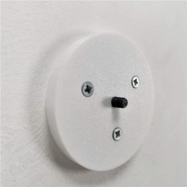 Echo 4th Generation Concealed Floating Wall Mount (White)