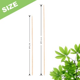 PERSZEN Plant Stakes 50 PCS Garden Bamboo Sticks Plant Support Stakes for Indoor and Outdoor Plants, Wooden Sign Posting Flower Pot Garden Stakes(15" 25pcs+17" 25pcs)