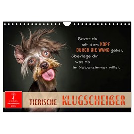 Tierische Klugscheißer (Wandkalender 2026 DIN A4 quer), CALVENDO Monatskalender