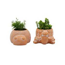 Turtle Lady Bug Terracotta Animal Succulent Planter, Home Decor, 2-Pack Smaller Planter Set