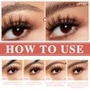 2-in-1 Eyebrow Pencil and Eyebrow Gel, Eyebrow Pencil with 4