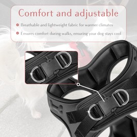 Comfort fit Step-in Dog & Puppy Harness - Comfortable All Weather Dog Vest Harness: Adjustable, Soft Padded, Easy to Put-on for Small, Medium-Sized Dogs.