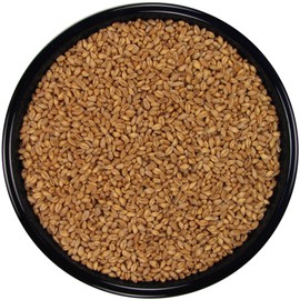 Whole Wheat (20 lbs.)