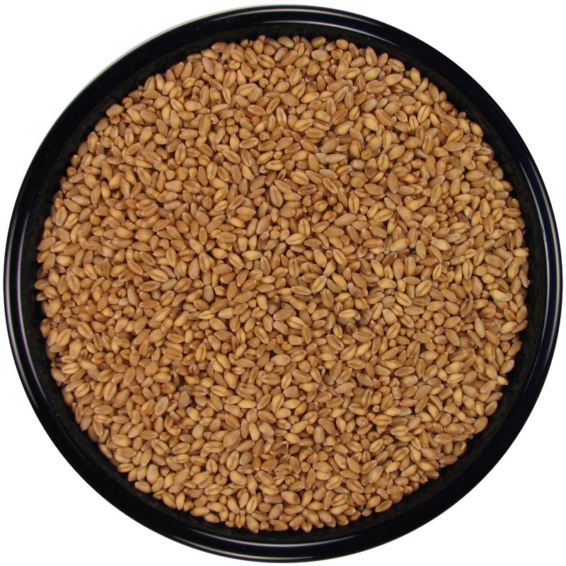 Whole Wheat (20 lbs.)