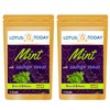 Tulsi Tea Sacred Holy Basil Tea , Sleepy Relax Herbal