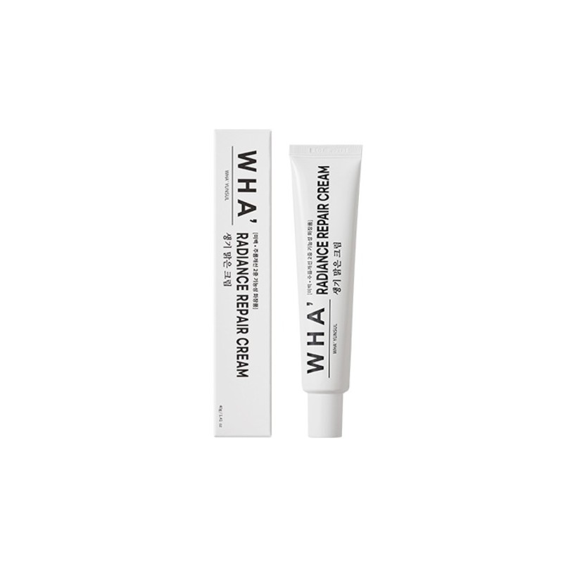 화윤설 레디언스 리페어 크림, 40g, 2개 Hwa Yoon Seol Radiance