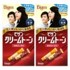 Vigen 비겐 크림톤 7G 자연흑갈색 60g 2개 [자연갈색 6G 2개]