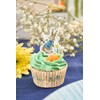 Anniversary House Carrot Sugarcraft Toppers, SF591
