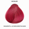 L'oreal Excellence Hicolor, Red Magenta Highlights, 1.2 Ounce