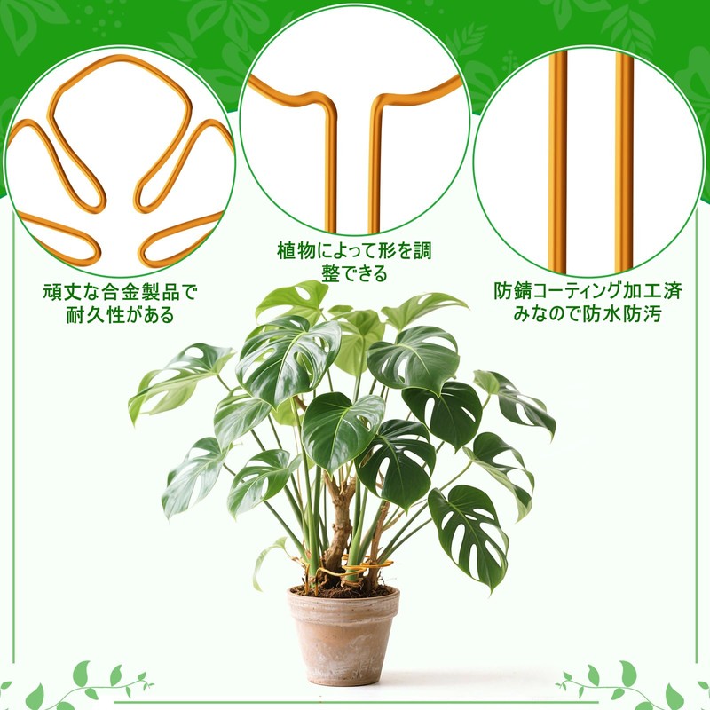 Neiang Monstera Support Stake 1 Piece Potted Plant Support Monstera