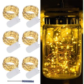 LAMPHOME 6 Pack Fairy Lights Battery Operated String Lights 6.6ft 20 Led Mason Jar Lights Waterproof Silver Wire Light Fireflies DIY Party Wedding Christmas Decoration(6 Pack,Warm White)