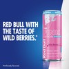 Red Bull Red Bull Pink Edition Sugar Free Energy Drink,