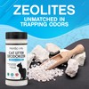 NonScents Odor Control Cat Litter Deodorizer - Professional Strength Odor