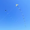 Kaiciuss Huge Delta Kite for Adults Easy to Fly, 8.2