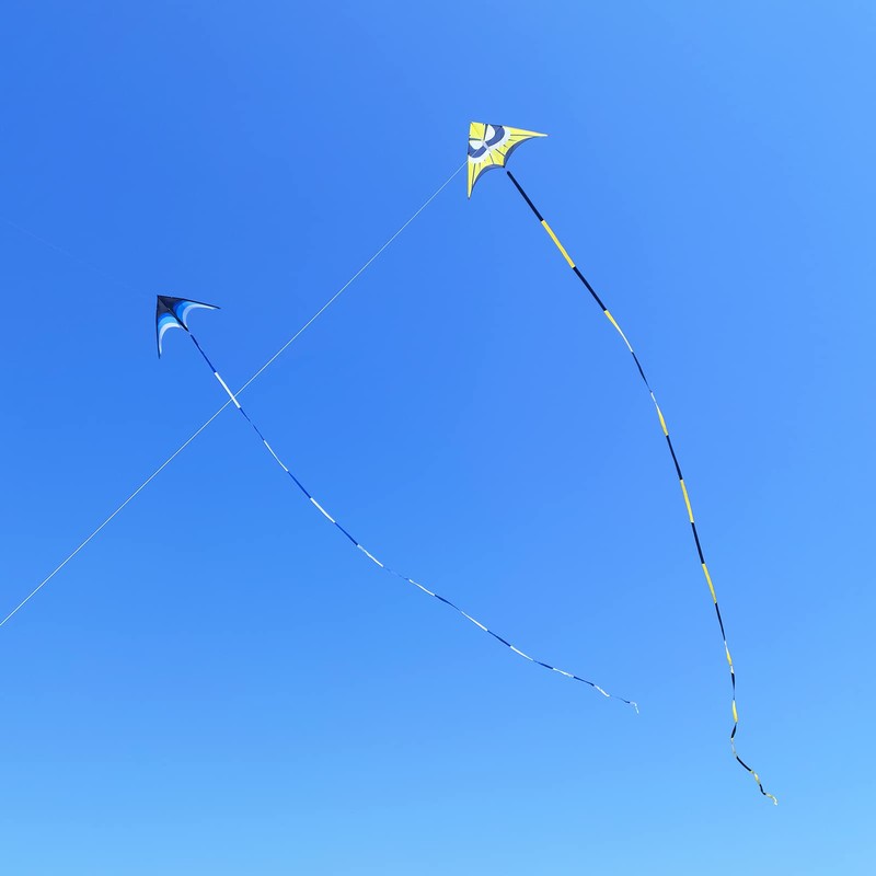 Kaiciuss Huge Delta Kite for Adults Easy to Fly, 8.2