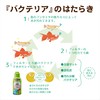 GEX GEX Cycle 150mL for Maintaining Ecosystem in Aquarium, Water