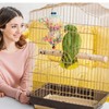 Conure Toys, Bird Hanging Foraging Shredder Toys, Soft Beak Chew
