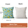 ASDCXZ Cushion Cover 40x40 cm 4pcs Set, Summer Fruit Yellow