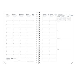 Quo Vadis Minister Weekly Calendar Diary Dc Dc 16x24 cm Anne 2013 2014 16x24 Ebony Black