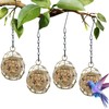 4 Pack Bird Feeder, Suet Ball Feeders for Outside Hanging,