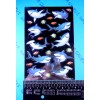 American Greetings Sharks & Fish Stickers Sheet American Greetings