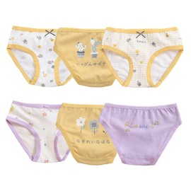 Orinery Girls Cotton Underwear Assorted Hipster Panties Soft Lace Undies Toddler Kids Briefs 6-Pack(SH726-B, 3-4T)