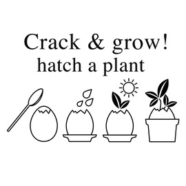 Seishin Pottery EG-4804 Egg Ring, Eco Friendly, Cactus, White