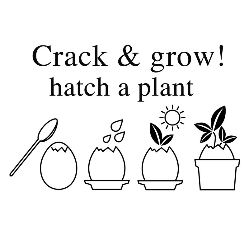 Seishin Pottery EG-4804 Egg Ring, Eco Friendly, Cactus, White