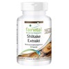 Fairvital Shiitake Extract 500 mg - High Dose - Lentinula