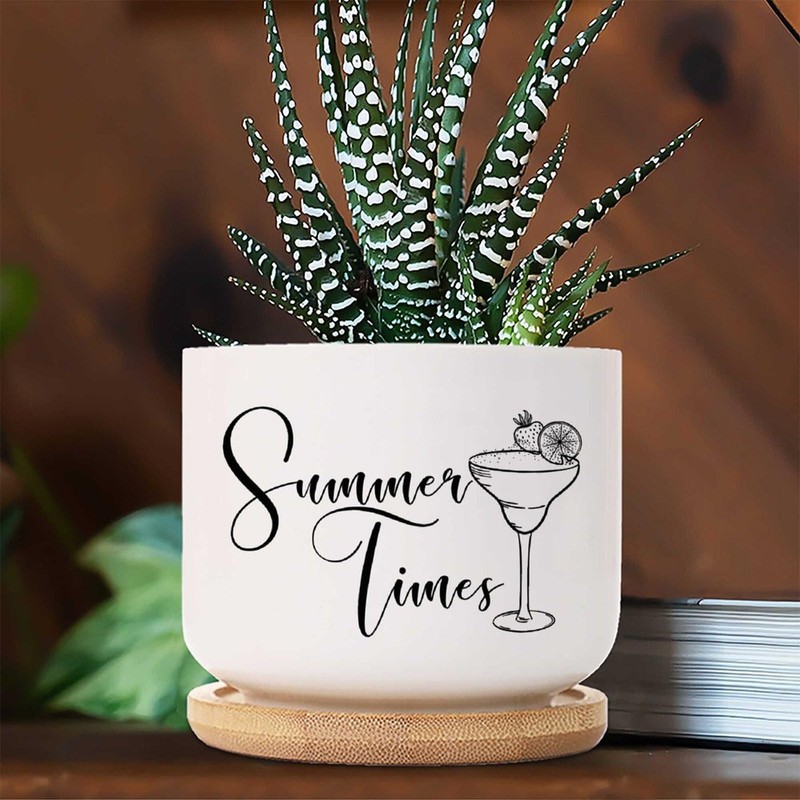 DecStic Summer Times Ceramic Planter Bible Verse Pots for Plants