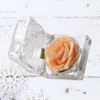 NOLITOY Preserved Flower Box, Single Rose Never Withered Bixes Preserved