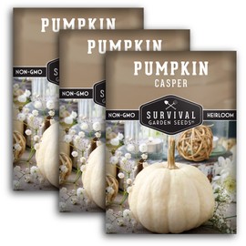 Survival Garden Seeds - Casper Pumpkin Seed for Planting - 3 Packs with Instructions to Plant and Grow in Your Home Vegetable Garden - Non-GMO Heirloom Variety